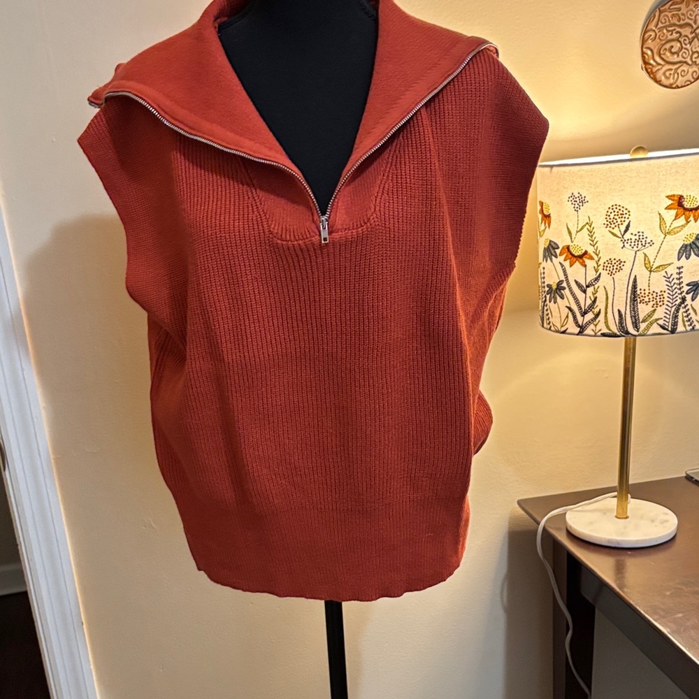 Elegant Rust Cowl Neck Sweater